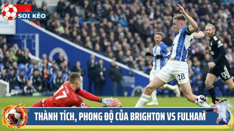 Thành tích, phong độ của Brighton vs Fulham 