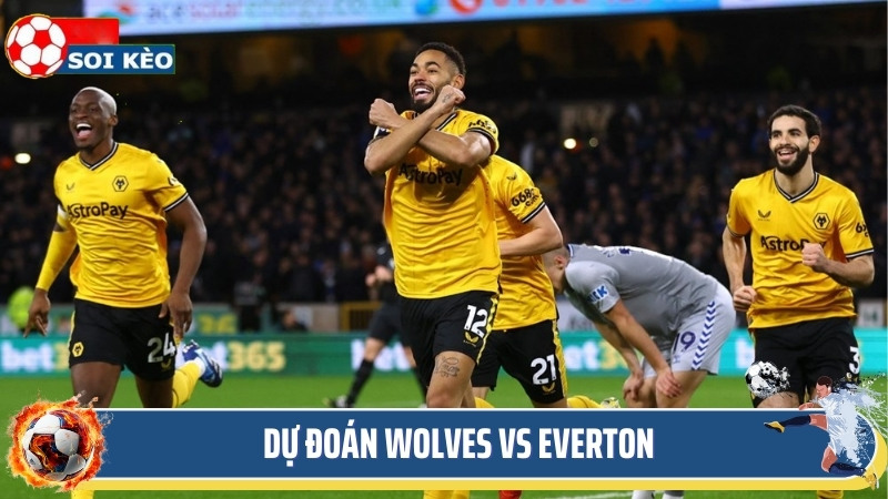 Soi kèo Wolves vs Everton - dự đoán kết quả